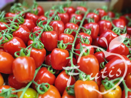 Pomidorki Cherry Gałązka (500g)