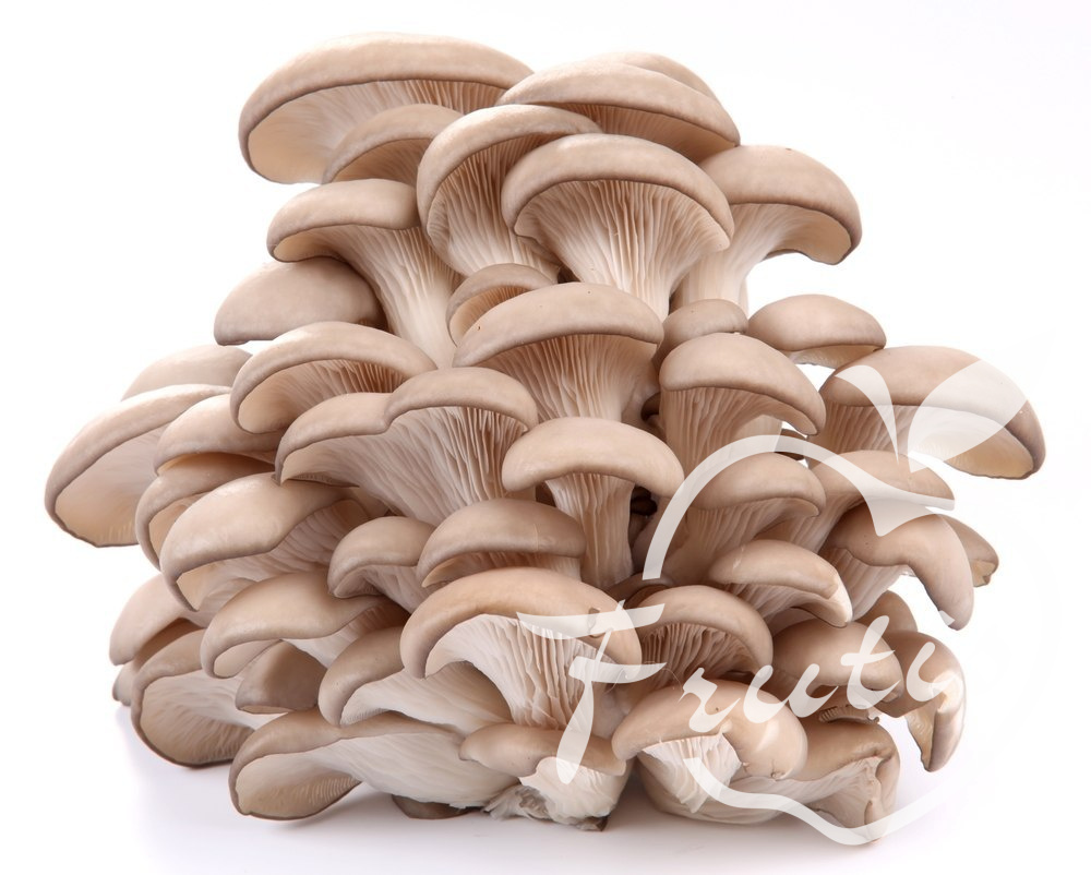 Boczniak (250g) Boczniak (250g)