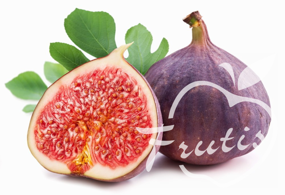 Figa Świeża Figa Świeża