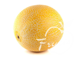 Melon Galia PROMOCJA