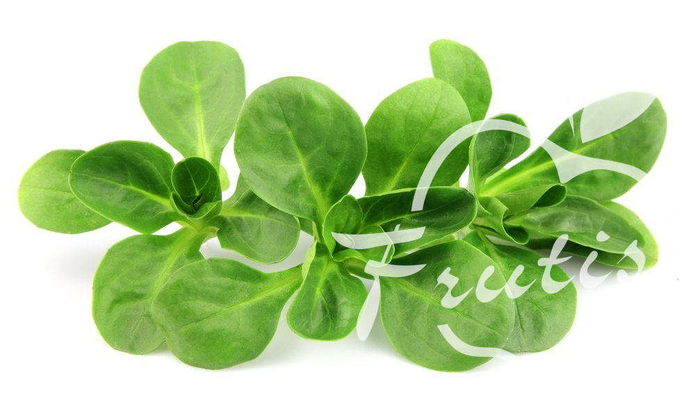 Roszponka Myta (100g) Roszponka Myta (100g)