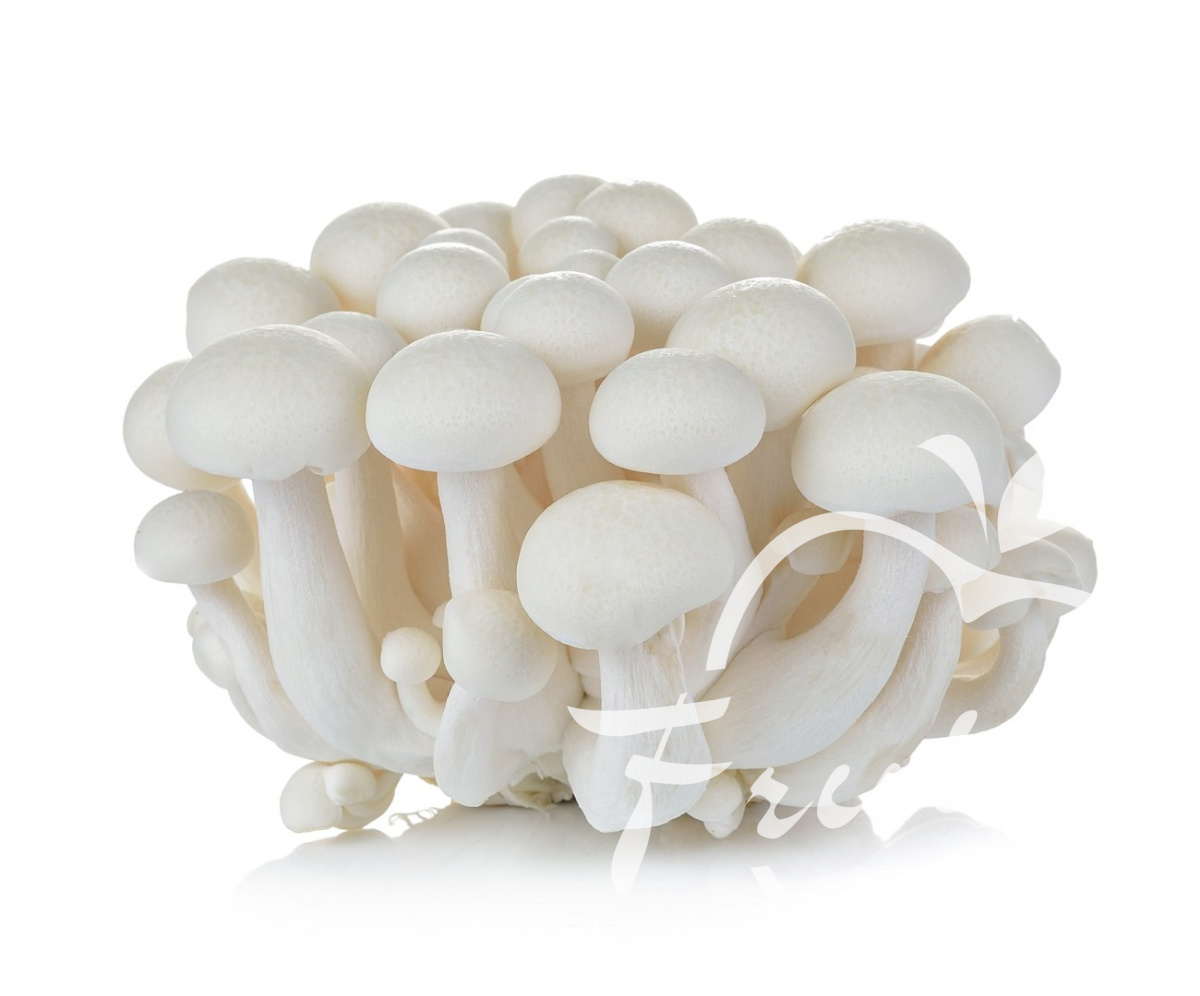 Shimeji Białe (150g) Shimeji Białe (150g)