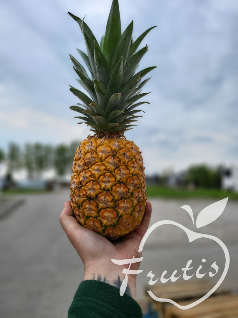 Ananas Lotniczy Premium (ok. 2kg) Ananas Lotniczy Premium (ok. 2kg)