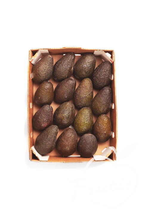 Avocado Hass (16szt) Avocado Hass (16szt)