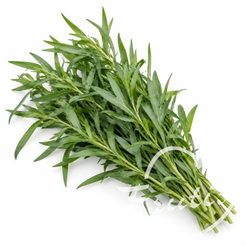 Estragon Cięty (100g)