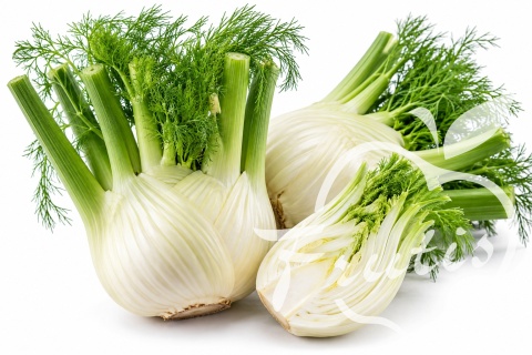 Fenkuł