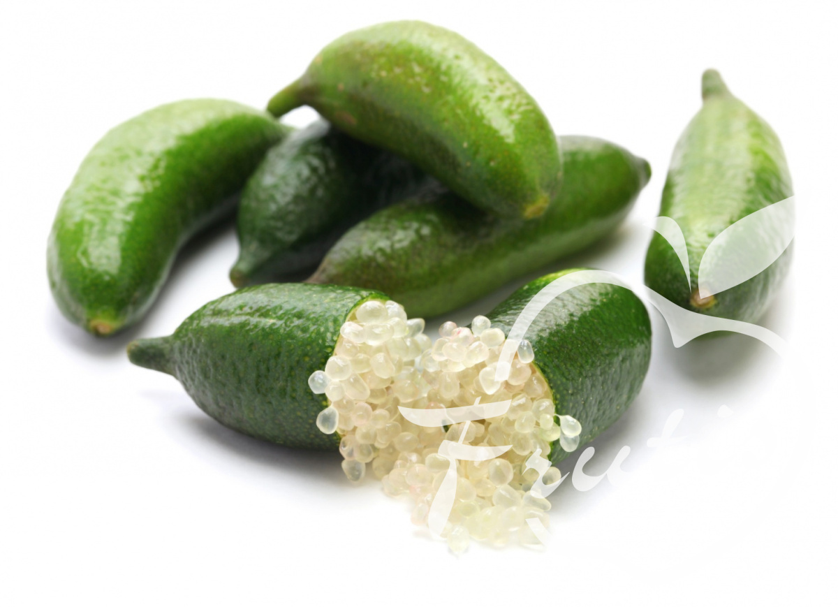 Finger Lime Zielona (2sztuki) Finger Lime Zielona (2sztuki)