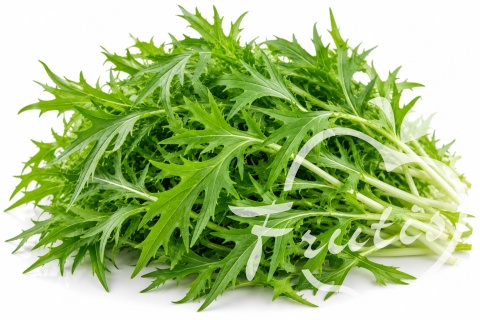 Mizuna Zielona (100g)
