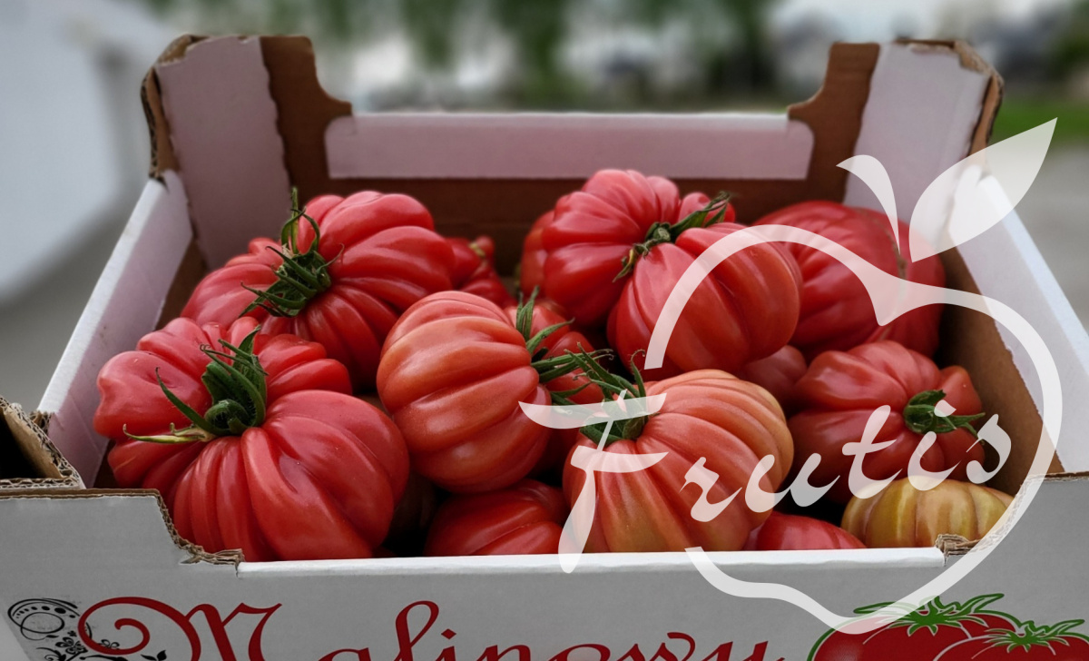 Pomidor Malinowy Karbowany