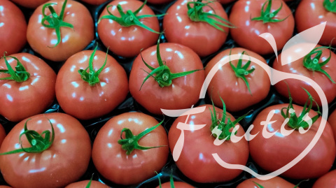 Pomidor Malinowy PL